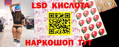 прущие грибы Кингисепп