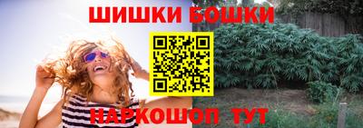 прущие грибы Кингисепп