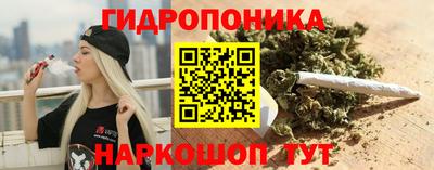 прущие грибы Кингисепп