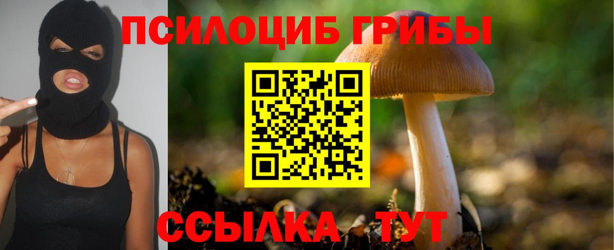 Кимры  Псилоцибиновые грибы GOLDEN TEACHER  Вход с VPN 